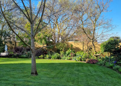 Centenary Day - Front Garden