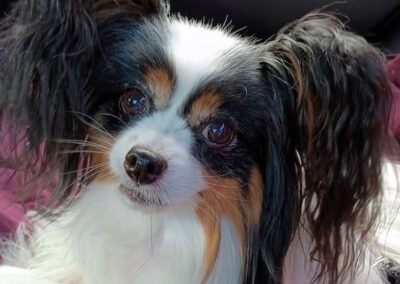 Nikolina - Our greatly loved community member