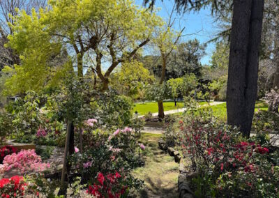 Carmelite Monastery, Kew - View of the Garden